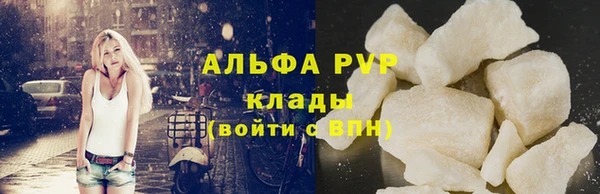 стаф Алексин